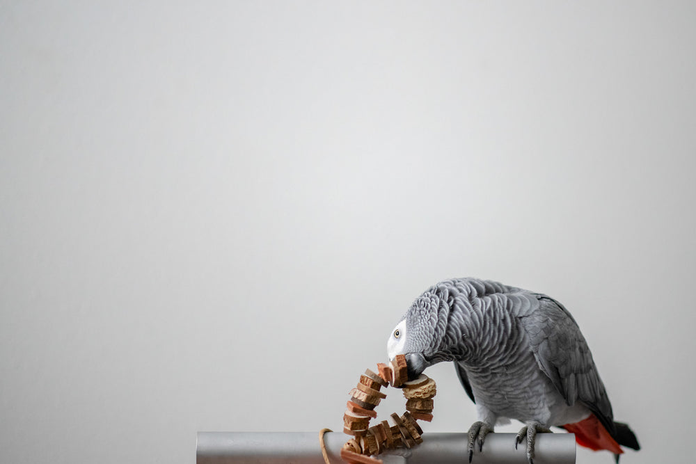 Enrichment Ring - Tiny Chunky Bird Toy