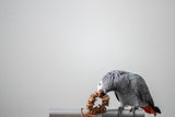 Enrichment Ring - Tiny Chunky Bird Toy