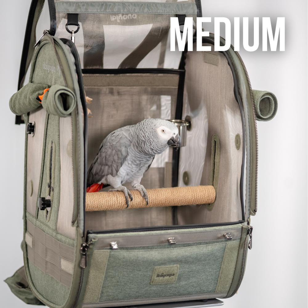 backpack for bird travel BirdTricks x Ibiyaya TrackPack