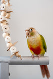Rising Nibbler - Small Chunky Bird Toy