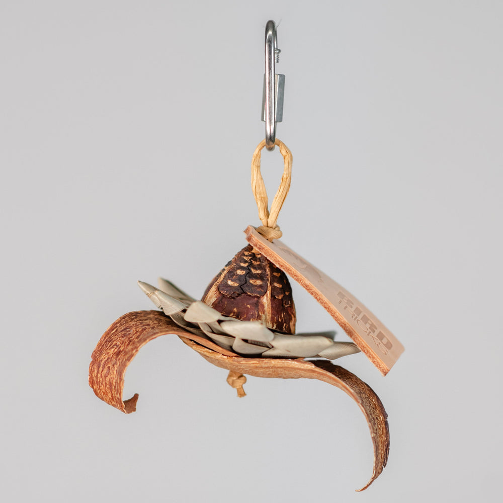 Palm Flower Forager bird toy – tiny foraging toy with mahogany pod and palm leaf for treat-hiding fun