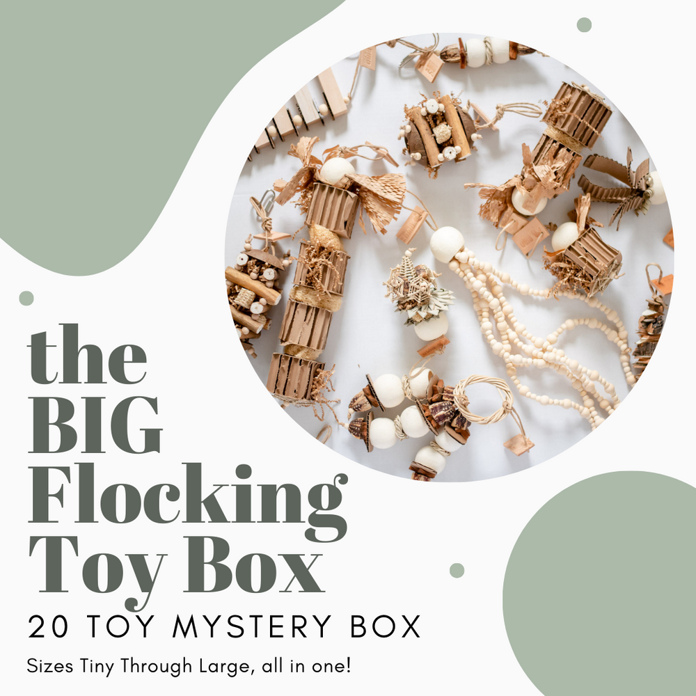 Big toys box deals