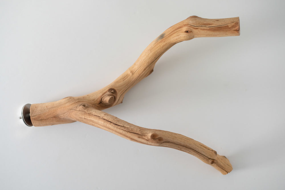 You & Me Bird Manzanita Wood Multi-Branch Bird Perch, Medium