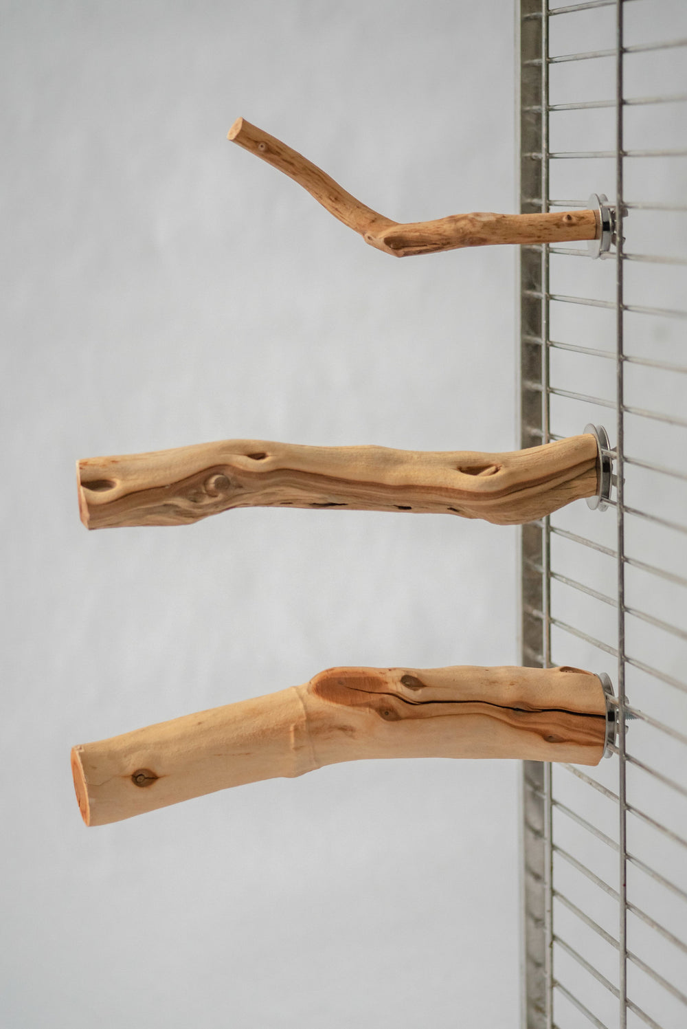 Beautiful view of Sustainable, Eco-Friendly Bird Perches