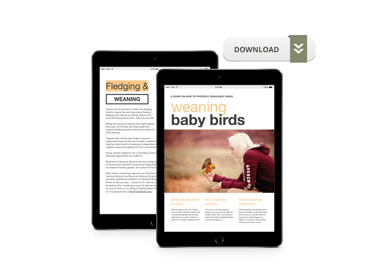 How to Avoid Energy Crashes in Babies: Essential Tips for Parents