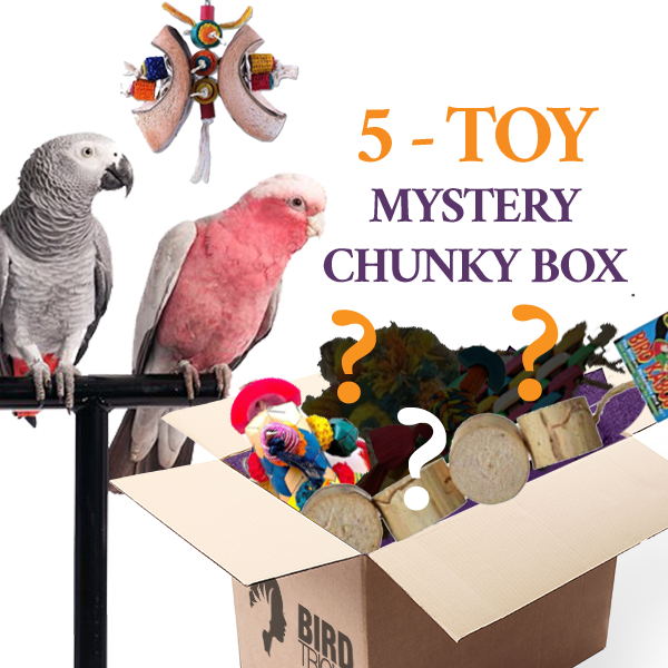 Chunky Toy Box (Bundle of 5)