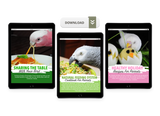 Natural Feeding System (Digital Download)