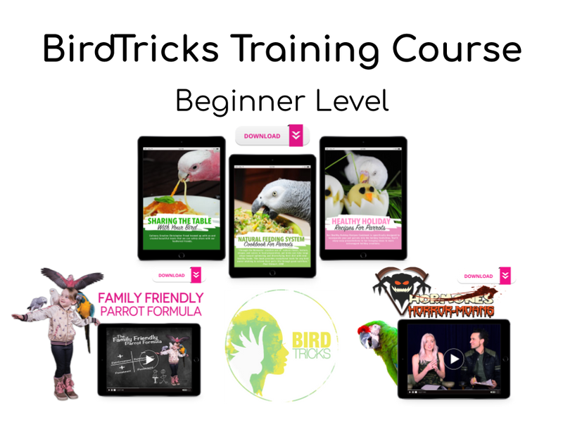 Parrot Training Courses