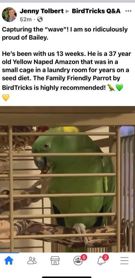 Family Friendly Parrot Formula