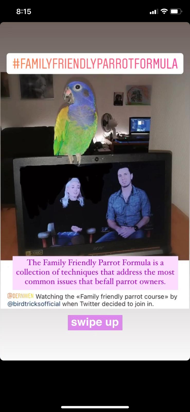 Family Friendly Parrot Formula