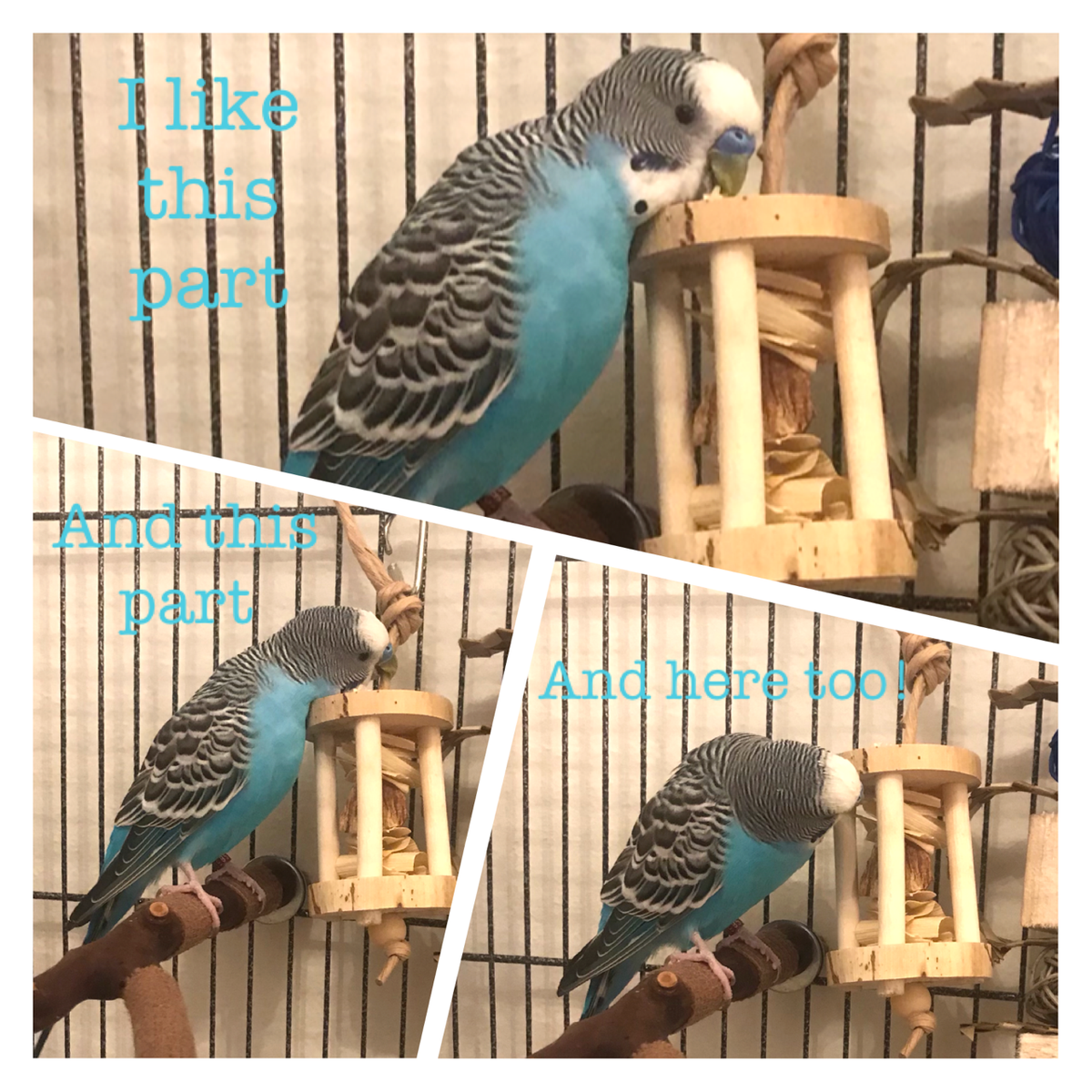 IMG_2823_1200x.png?v=1746999325