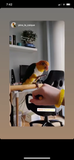 BirdTricks Training Course | Bonus Trick Level