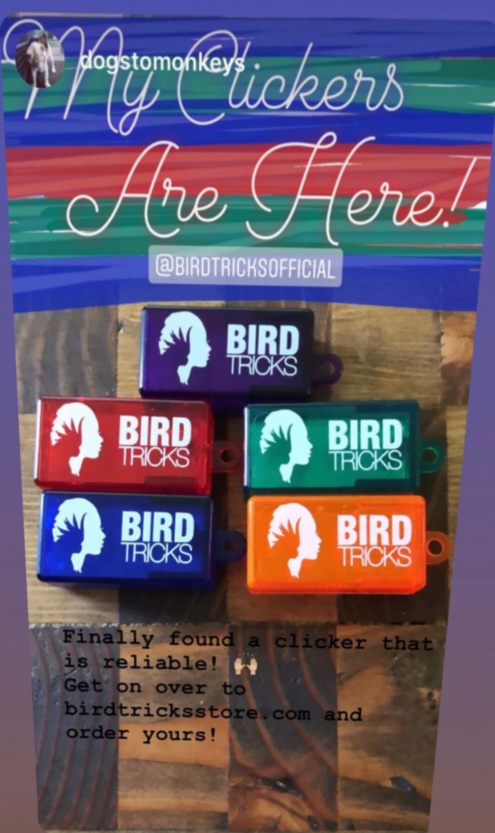Clickety Bird Training Clicker