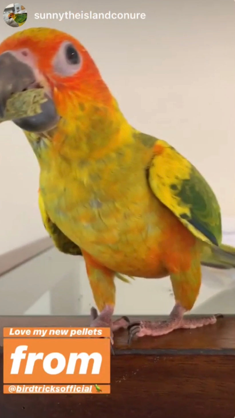 Organic Parrot Pellets (4lbs)