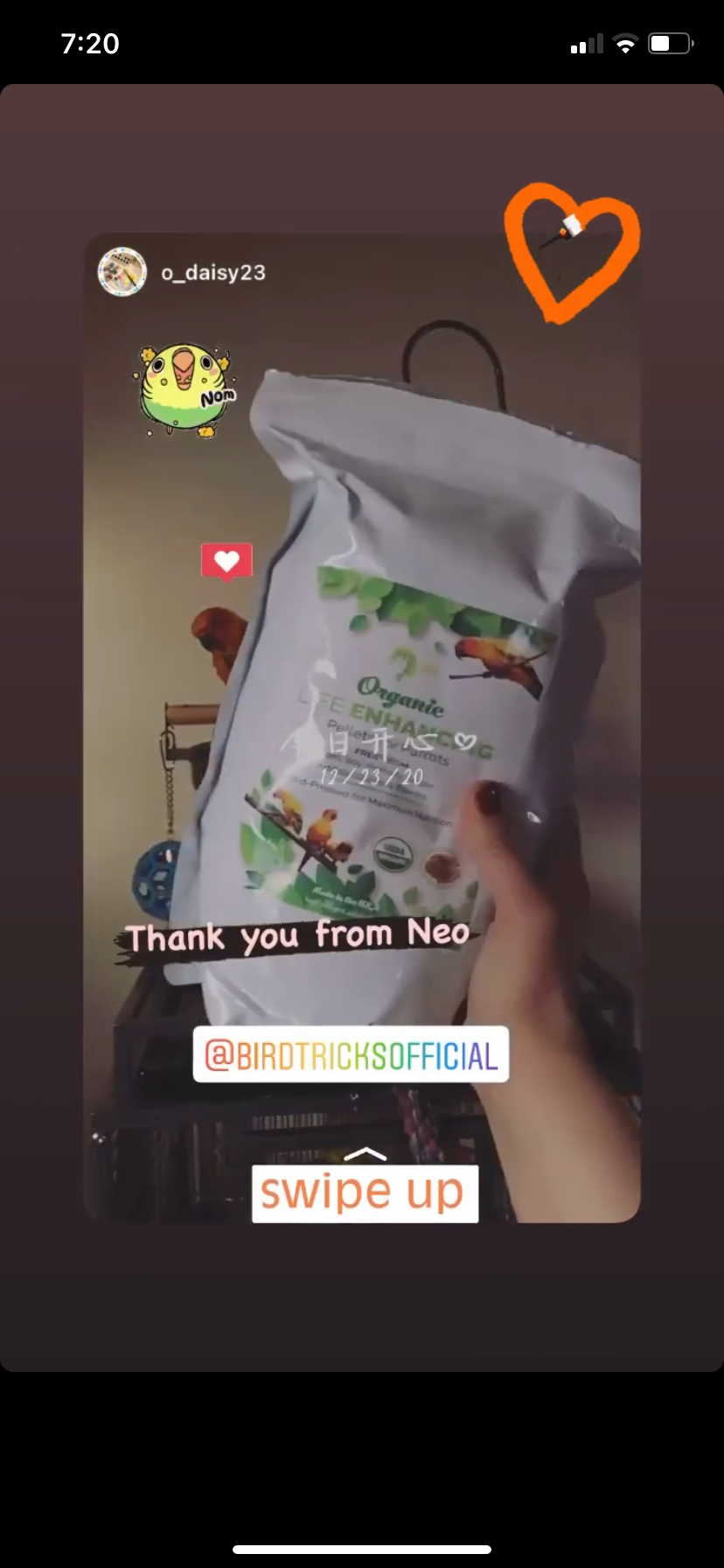 The Parrot Natural Nutrition Course