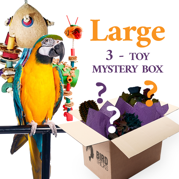 Premium All Natural Parrot Toys Bundle of 3