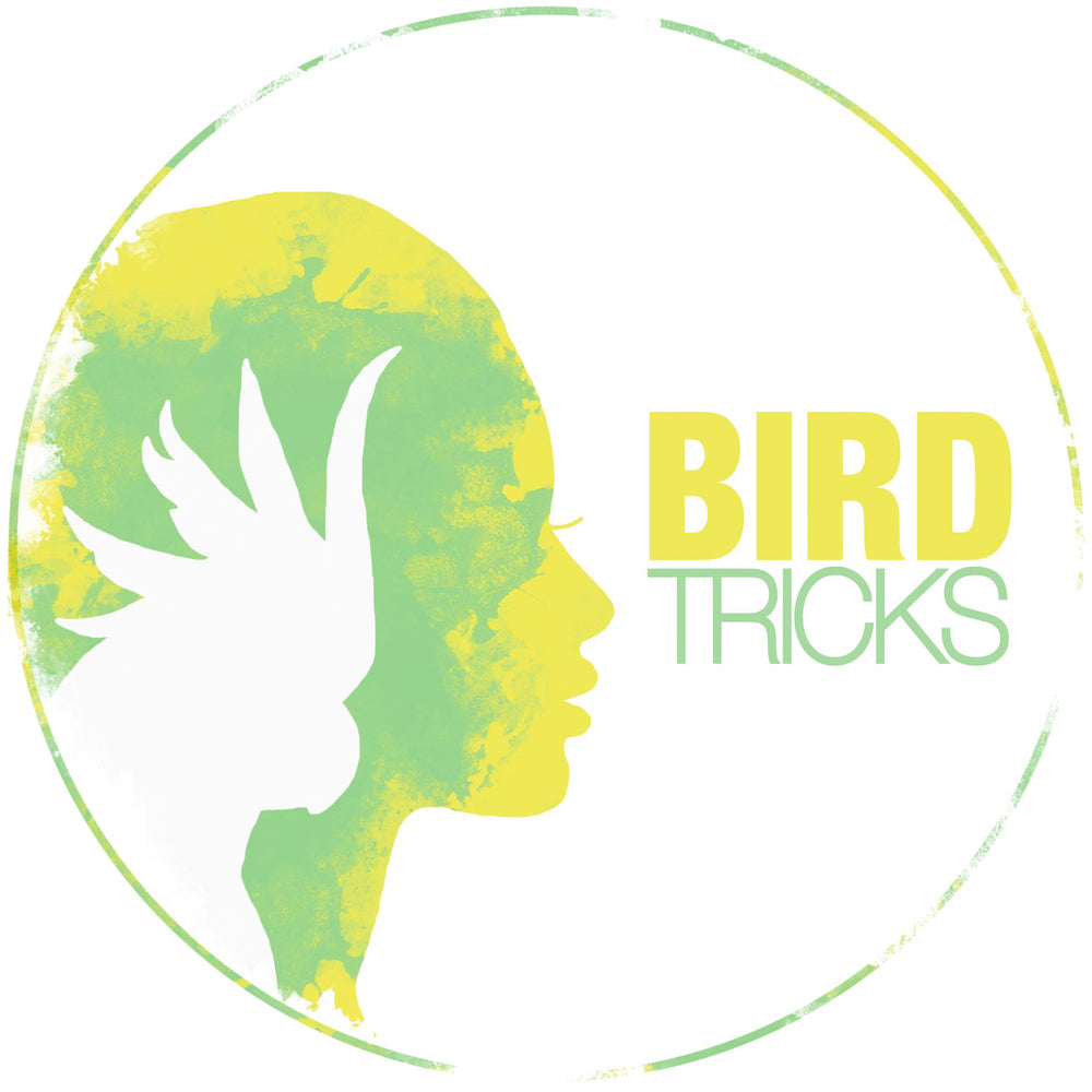 BirdTricks Training Course | Advanced Level