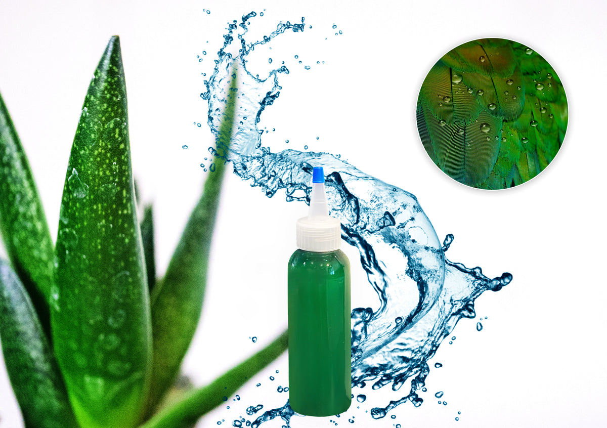 aloe vera plant spray FEATHERAPY Aloe Refills Aloe Refill