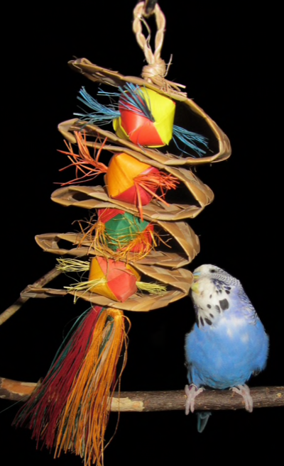 Premium All Natural Parrot Toys Bundle of 3