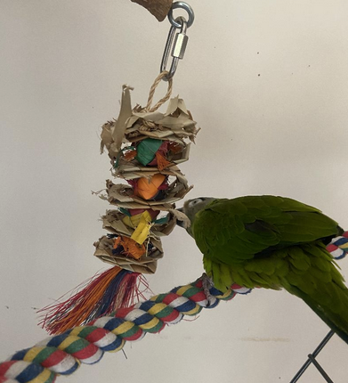 10 Bird Toys That Are Safe