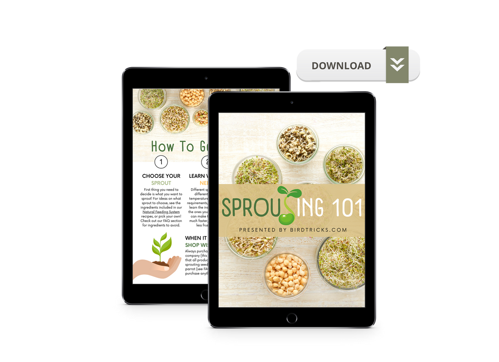 Sprout World Instructions.pdf Sprouting 101