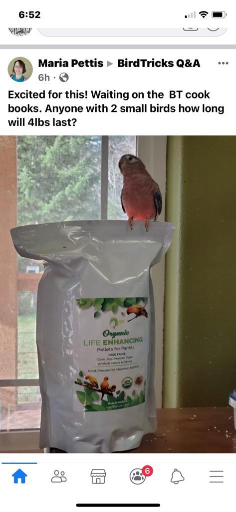 The Parrot Natural Nutrition Course