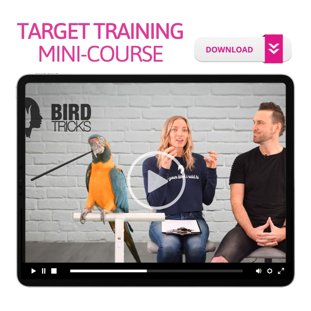 BirdTricks Training Course | The Complete Collection